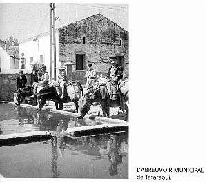 Images d'Algerie 105